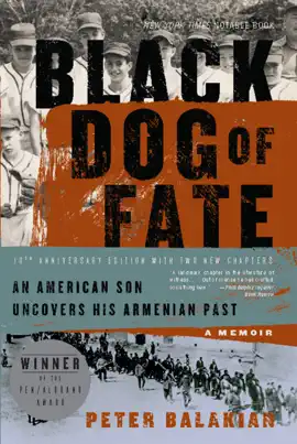 Black Dog Of Fate