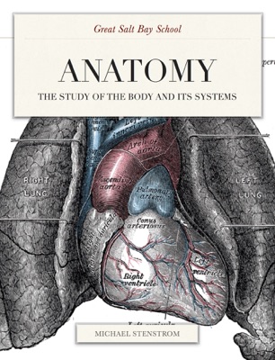Anatomy