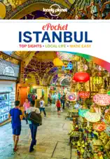 Pocket Istanbul Travel Guide