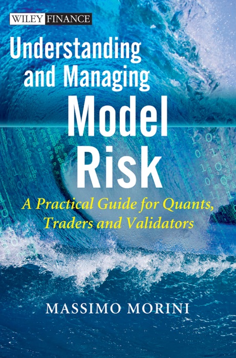 Understanding and Managing Model Risk