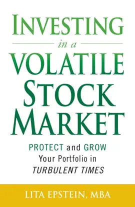 Investing in a Volatile Stock Market