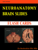 Zo Benbrahim, BSc MSc - Neuroanatomy BRAIN SLIDES artwork