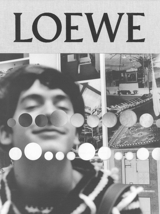 LOEWE Publication No.14