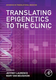 Translating Epigenetics to the Clinic - Jeffrey Laurence