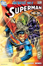 Superman (1986-2006) #219 - Mark Verheiden & Ed Benes
