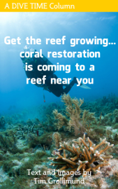 Get The Reef Growing... Coral Restoration Is Coming To A Reef Near You