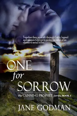 Read: One For Sorrow Book