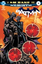 Batman (2016-) #16 - Tom King & David Finch