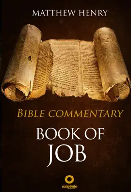 Read: The Book of Book Job - Bible Commentary