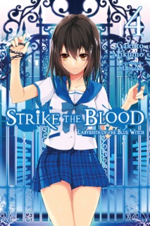 Strike the Blood, Vol. 4 (light novel) by Gakuto Mikumo & Manyako