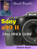 David Busch's Sony a99 II Fast Track Guide - David Busch