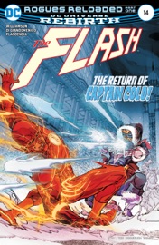 The Flash (2016-) #14 - Joshua Williamson & Carmine Di Giandomenico