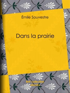 Dans la prairie by Emile Souvestre