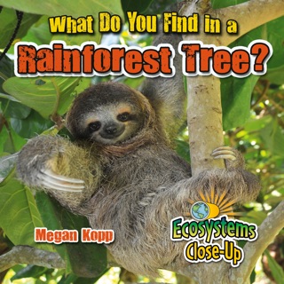 What Do You Find in a Rainforest Tree? by Megan Kopp