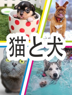 猫と犬 by Herman Brummer