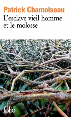 Read: L'esclave vieil homme et le molosse Book