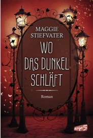 Wo das Dunkel schläft (Band 4) - Maggie Stiefvater
