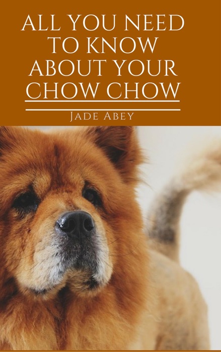 All You Need to Know About Your Chow Chow