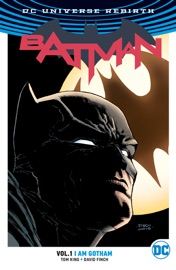 Batman Vol. 1: I Am Gotham - Tom King, David Finch & Ivan Reis