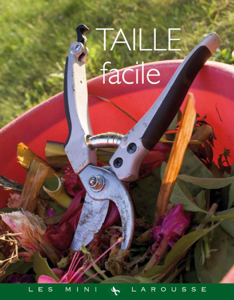 Taille facile Book Cover