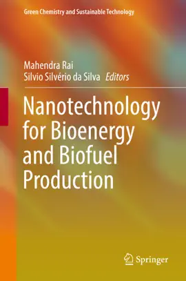 Read: Nanotechnology for Bioenergy Book and Biofuel Production
