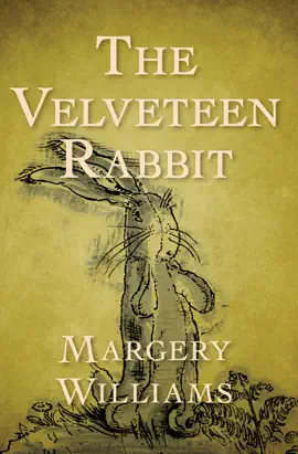 Read: Book The Velveteen Rabbit