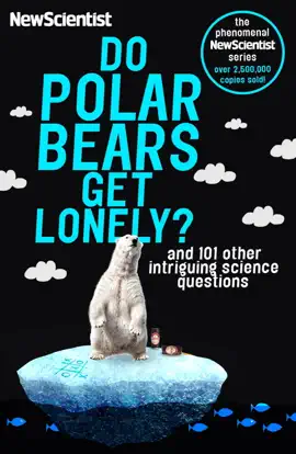 Read: Do Polar Book Bears Get Lonely?