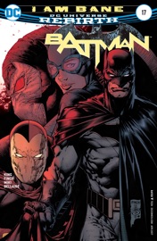 Batman (2016-) #17 - Tom King & David Finch