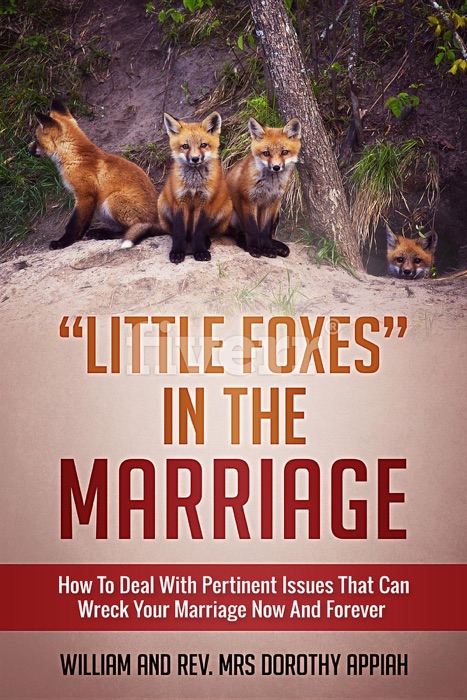 Little Foxes in the Marriage