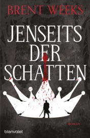 Jenseits der Schatten - Brent Weeks
