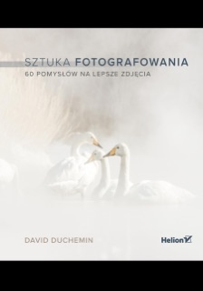 Sztuka fotografowania. 60 pomysłów na lepsze zdjęcia by David duChemin