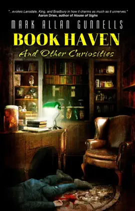 Read: Book Haven: Book And Other Curiosities