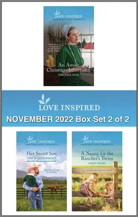 Read: Love Inspired November 2022 Box Set Book - 2 of 2