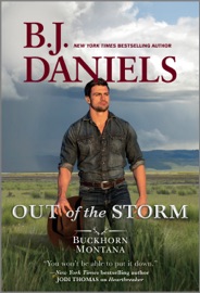 Out of the Storm - B.J. Daniels