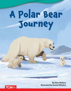 A Polar Bear Journey by Elise Wallace