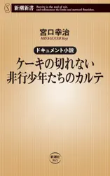 ケーキの切れない非行少年たち