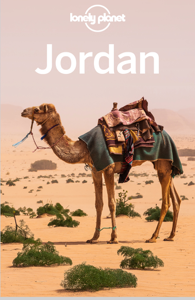 Jordan 11 - Lonely Planet Cover Art