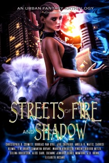 Streets of Fire and Shadow by Christopher D Schmitz, Douglas Van Dyke Jr., Vincent deDiego Metzo, Angela R. Watts, J. D. Brink, Elizabeth Hosang, Debbie Mumford, Selena Robertson, Jeri Shepherd, Samantha Bryant, E.H. Drake, Maryalice Sabo, Warren Benedetto & Suzanne Jenkins