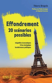 Effondrement : 20 scénarios possibles - Inégalités économiques, crise écologique, incohérences po...