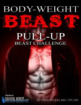 Read: Body-Weight Beast Book Pull Up Challenge