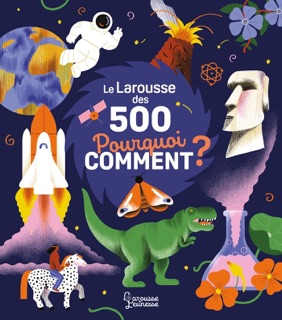 Le Larousse des 500 pourquoi comment by Amélie Falière & Sophie de Mullenheim