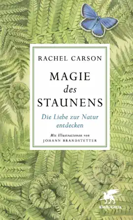 Read: Magie Book des Staunens