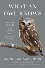 What an Owl Knows - Jennifer Ackerman Cover Art