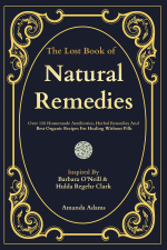 The Lost Book Of Natural Remedies - Amanda Adams Cover Art