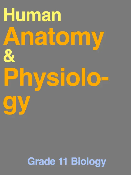 Human Anatomy & Physiology