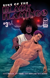 Sins Of The Black Flamingo #3 (Of 5) by Andrew Wheeler, Travis Moore & Tamra Bonvillain
