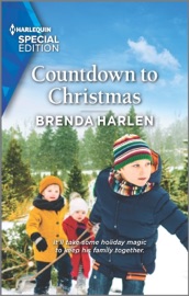 Countdown to Christmas - Brenda Harlen