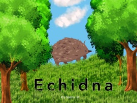 Echidna