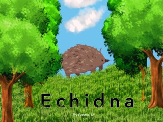 Echidna by Sasha