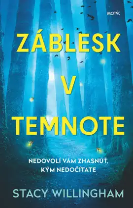 Read: Záblesk Book v temnote